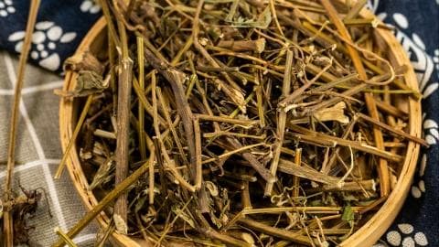 百草霜的功效与作用是什么