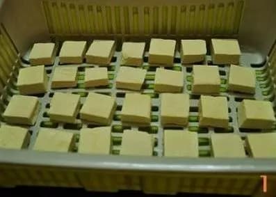 自制霉豆腐：从原料准备到成品封装的完整指南