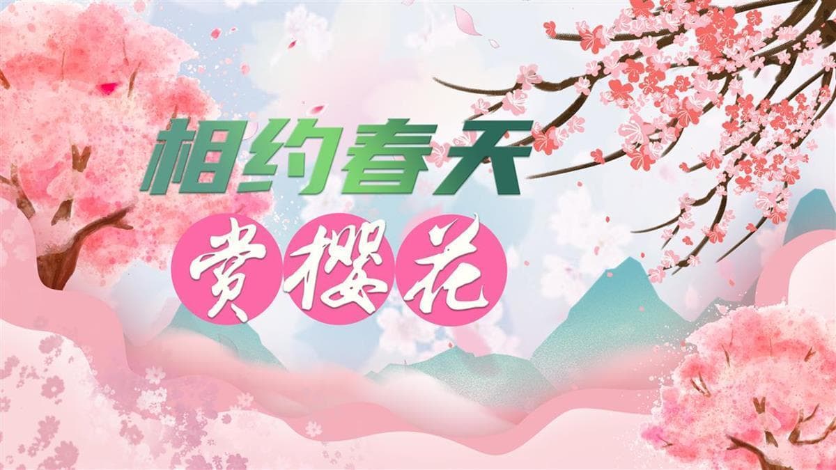 最全攻略来啦！2025武汉东湖樱花季启动