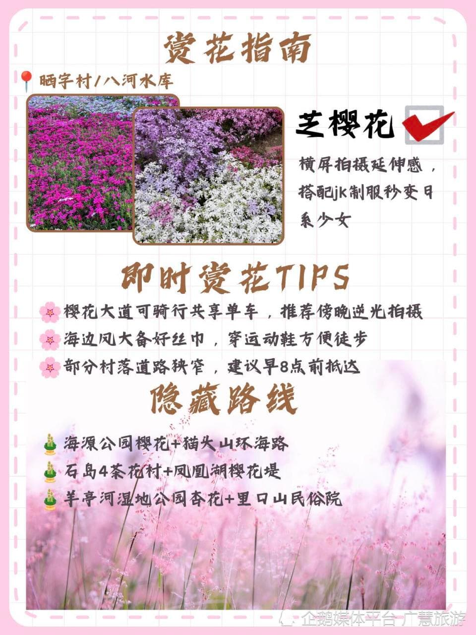 威海春季赏花攻略：从樱花到美食的完美旅程