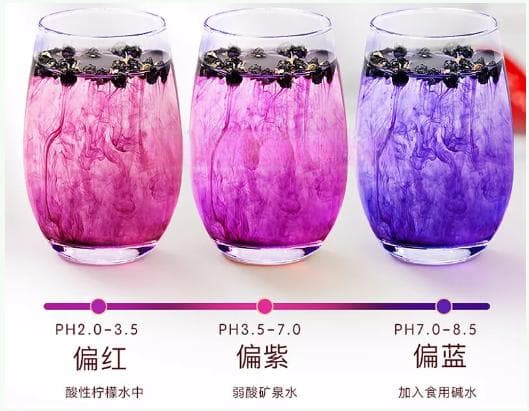 原花青素VS花青素！揭秘最强天然抗氧化剂——OPC原花青素