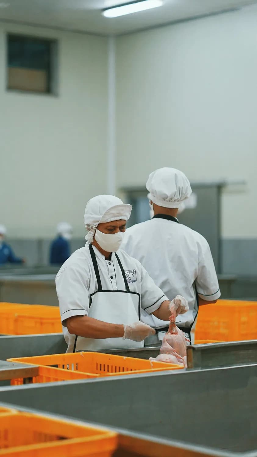食品安全员揭秘：每日检查记录有多重要？