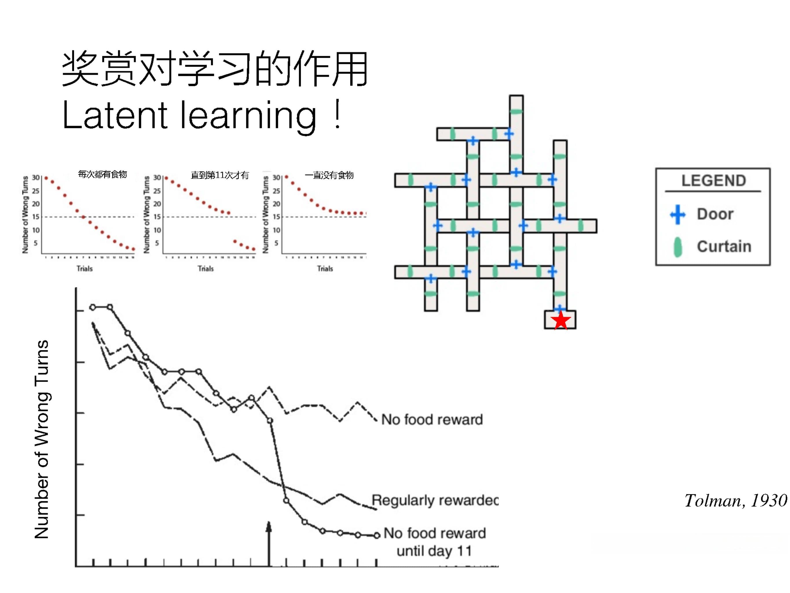 频繁使用GPS丧失方向感？清华大学陈霓虹：影响或可逆，可通过学习训练提升