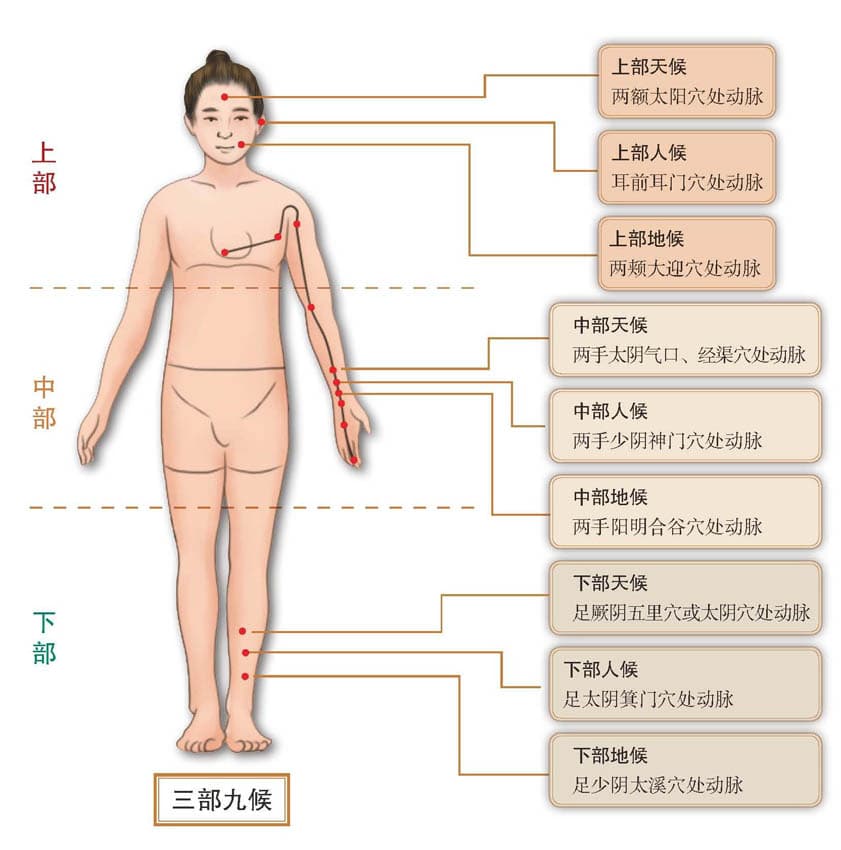《黄帝内经》详解：三部九候论篇