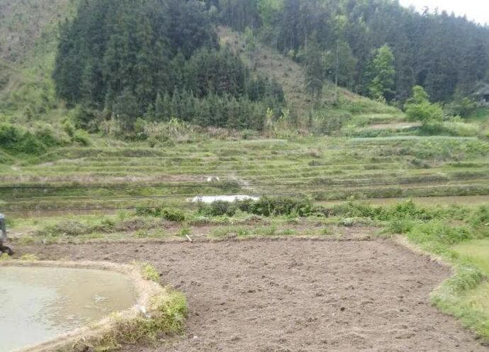 耕地撂荒加剧粮食安全风险，专家：复垦可年增2400万吨