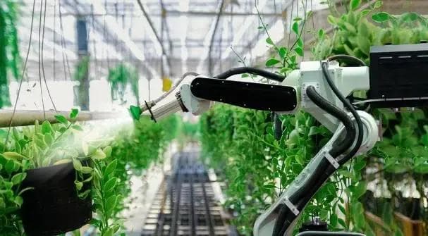 AI赋能农业：智能灌溉系统的技术原理与应用