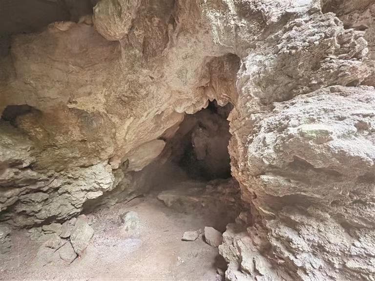 黔西观音洞遗址：中国南方首次发现的旧石器与动物化石共生遗址