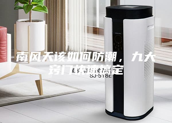 南风天防潮全攻略：九大实用技巧轻松应对回南天