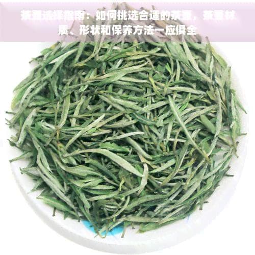 茶壶选择指南：如何挑选合适的茶壶，茶壶材质、形状和保养方法一应俱全