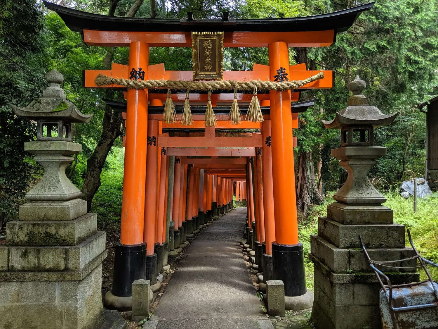 东京五社之一：大国魂神社的历史与文化