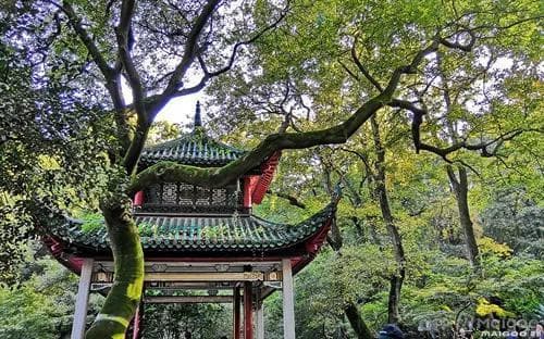 长沙一日游最佳路线：岳麓山-橘子洲-太平老街，150元玩转星城