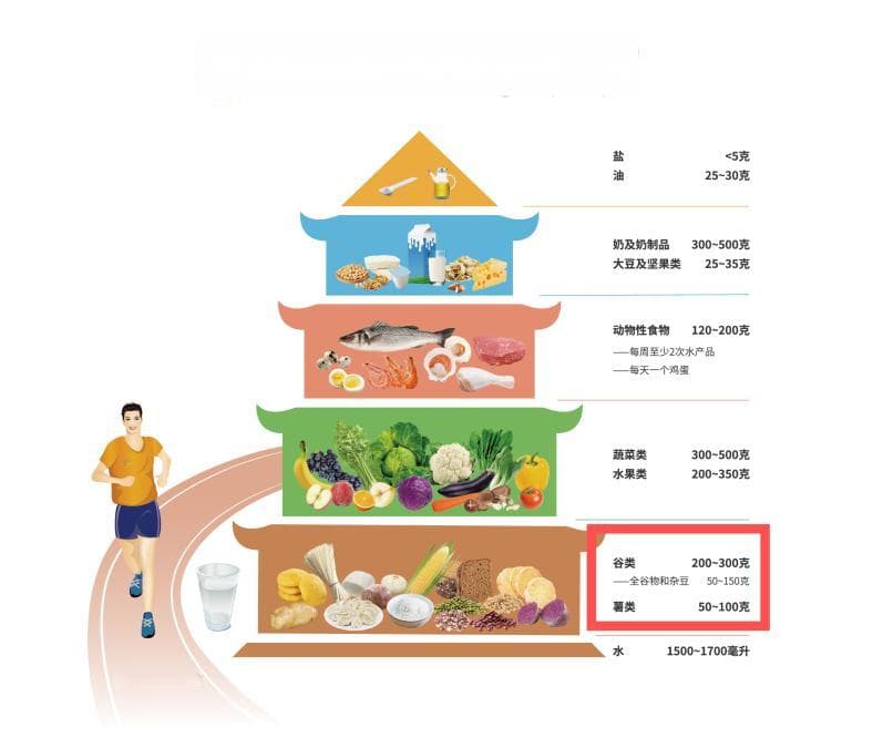 每天摄入多少碳水化合物才合理？