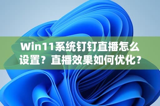 Windows 11系统钉钉直播设置与效果优化指南