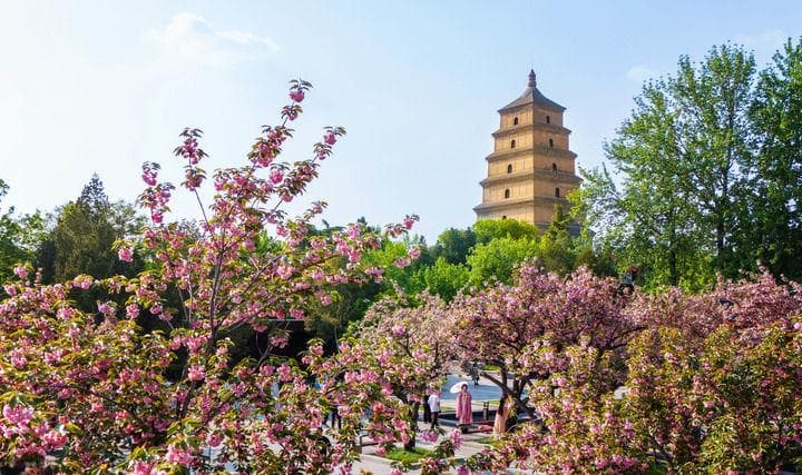 西安：文物堆里“长”出的城市