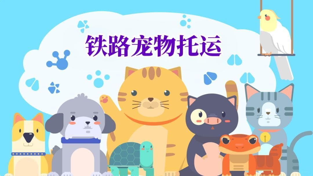 想带萌宠回家过年？铁路托运了解一下