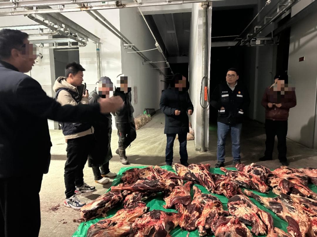 【质效双优】巧用诉前“保全+调解”促履行 防止“程序空转”提质效