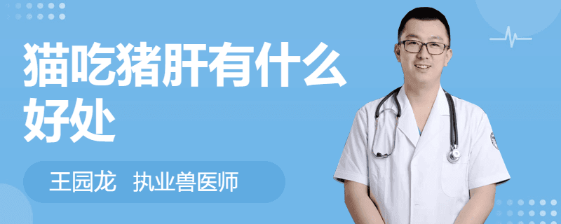 猫吃猪肝有什么好处？需要注意什么？