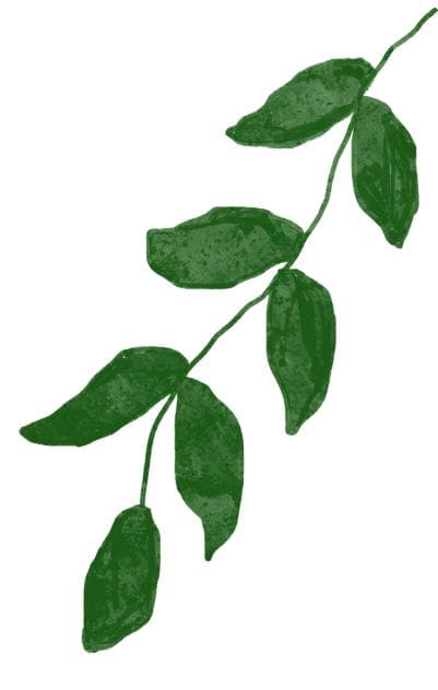 类风湿关节炎常用疾病活动度评估方法