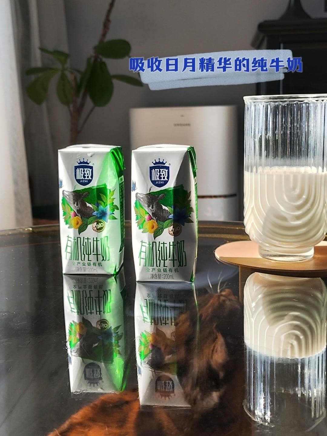 牛奶的营养成分分析