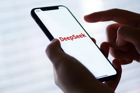 魏岳江：政务系统接入DeepSeek，严防滋生一哄而上争彩头等新的形式主义