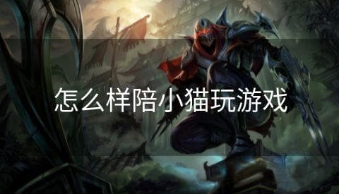 怎么样陪小猫玩游戏