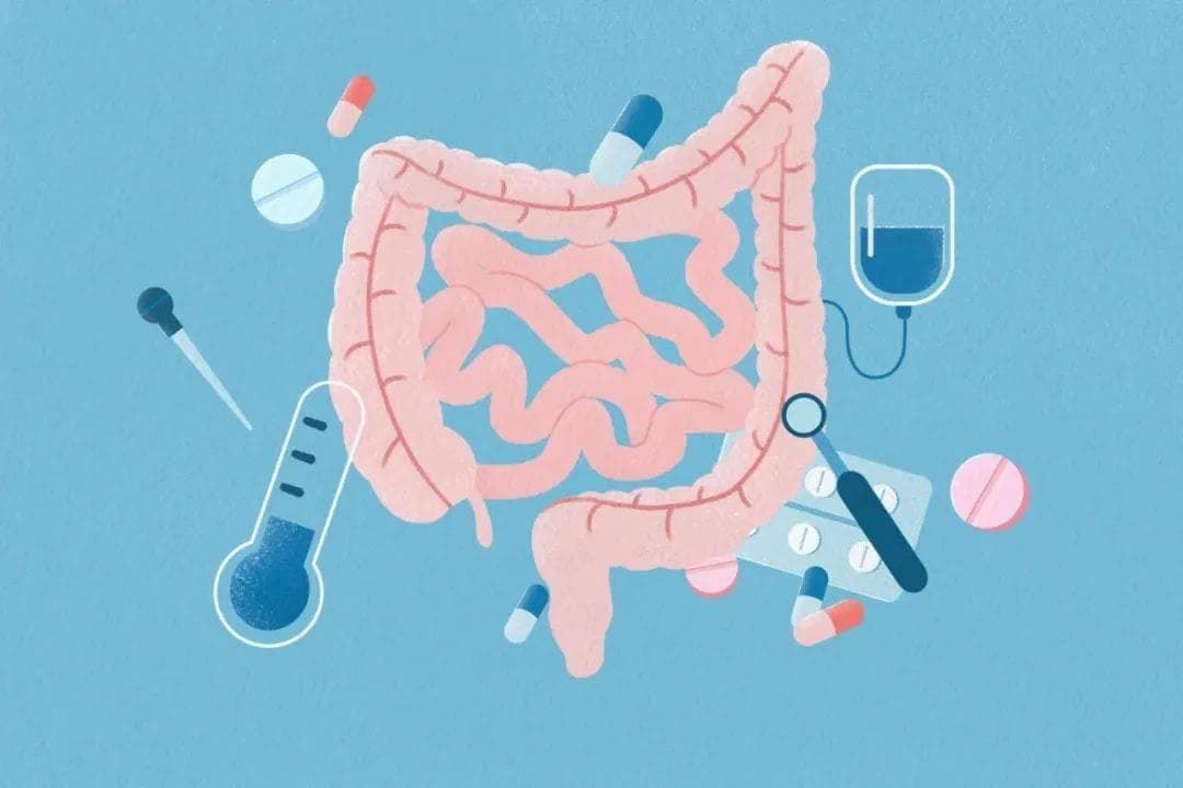 如何防止胃肠'生气'：从饮食到生活方式的改变
