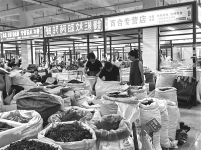 “药都”亳州：从传统中药材交易到现代中医药产业高地