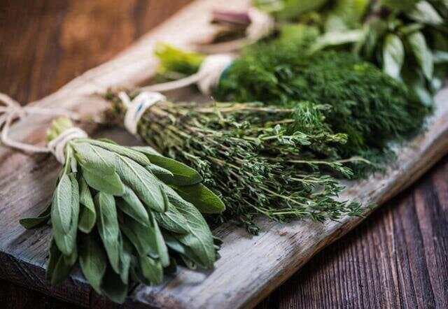 意大利人为什么不再喜欢吃香菜了？揭开香菜在意大利的衰落历史