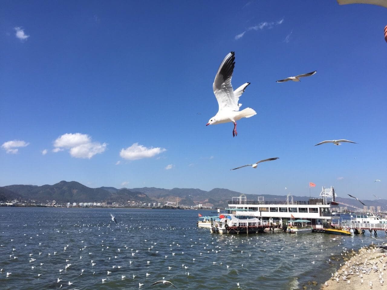 昆明滇池旅游攻略