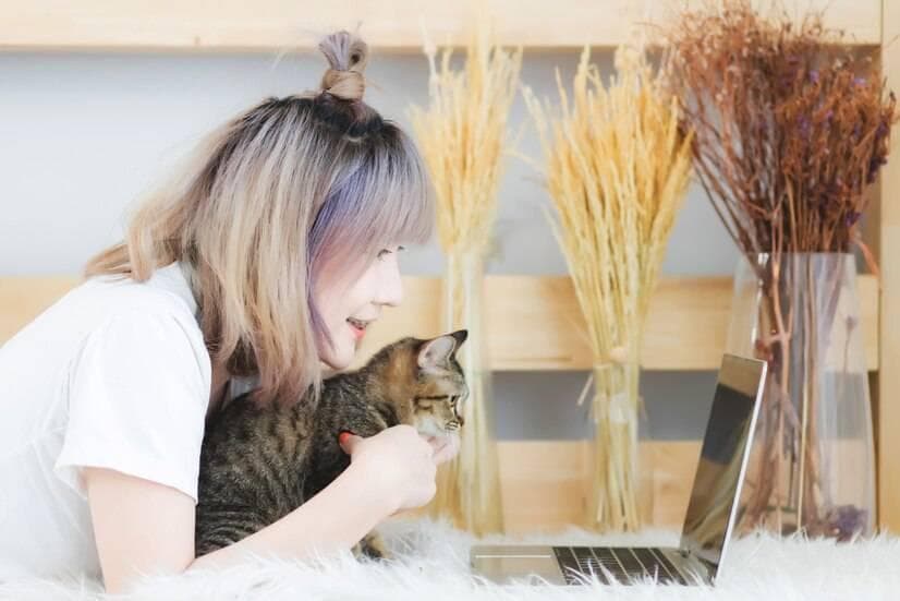 养猫最佳时机：2-3月龄小猫最易与人亲近