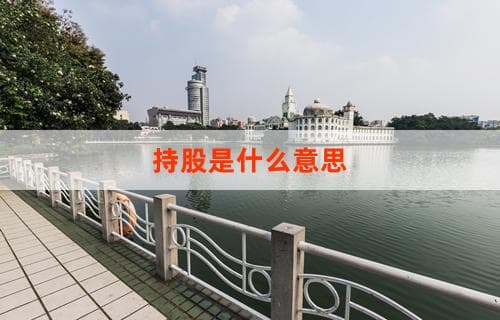 持股是什么意思？详解持股概念与操作
