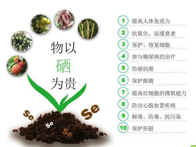 常吃4种食物，不怕缺硒