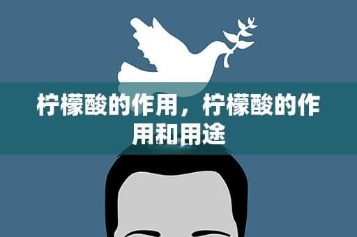 柠檬酸的作用与应用：从食品添加剂到生物医学价值