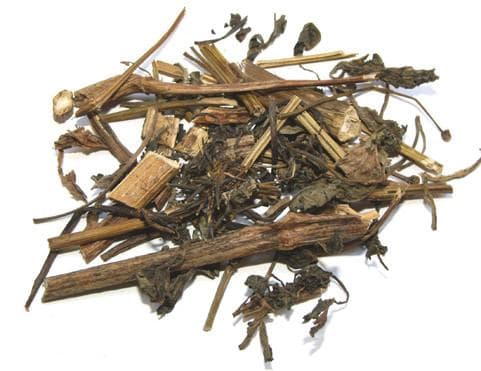 鬼针草：从种植到应用的全面解析