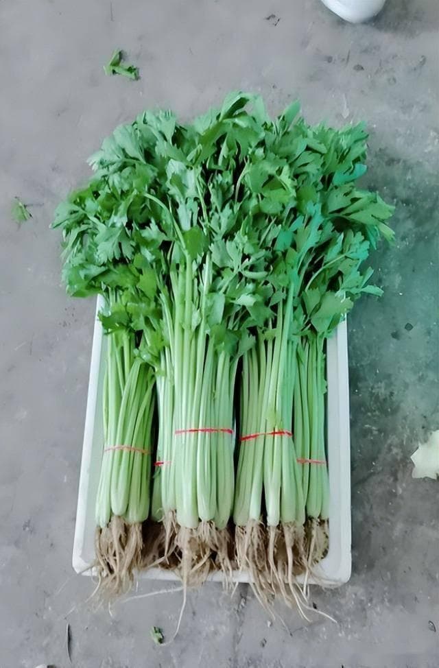 山芹菜怎么做好吃？分享4种做法，简单易学，清脆爽口又美味