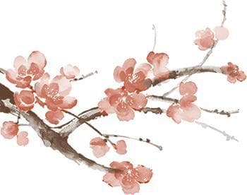 图说“新”婚俗丨破陈规，除陋习，传文明，树新风！