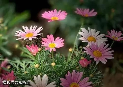 词的意象选择、时空转换、领字作用、炼字炼意的特点