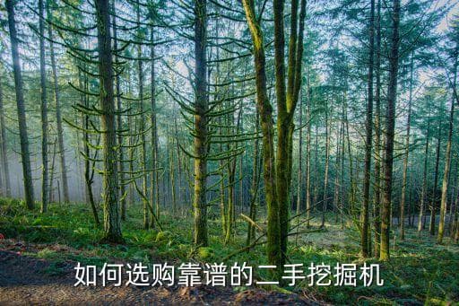 二手挖机选购全攻略：从检查到估价的实用指南