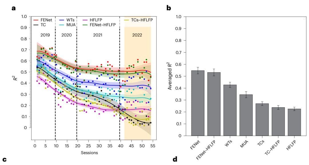 Nature：如何避免记忆悬崖？海马体空间支架驱动情节联想记忆机制