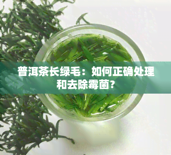 普洱茶长绿毛与白毛：原因分析与处理方法