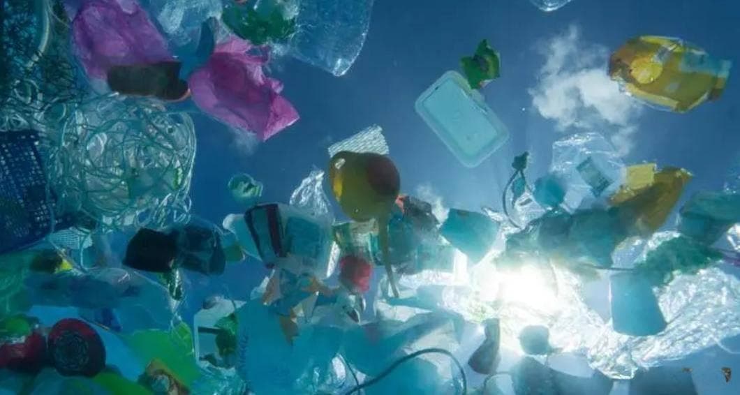如何减少海洋塑料垃圾污染，保护海洋生态系统？