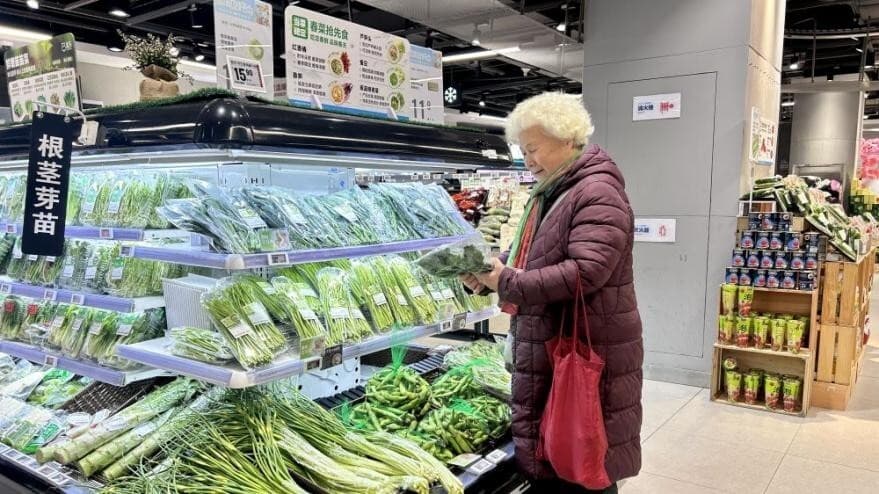 多地商超上架“板蓝根青菜”，抗炎营养好，是菜不是药
