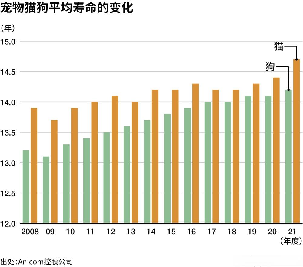 宠物猫狗也迈入了老龄化时代