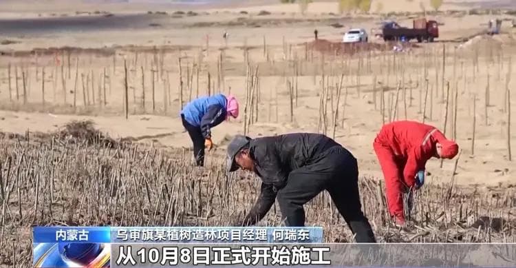防沙治沙效果如何？鄂尔多斯交出成绩单