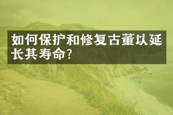 如何保护和修复古董以延长其寿命？