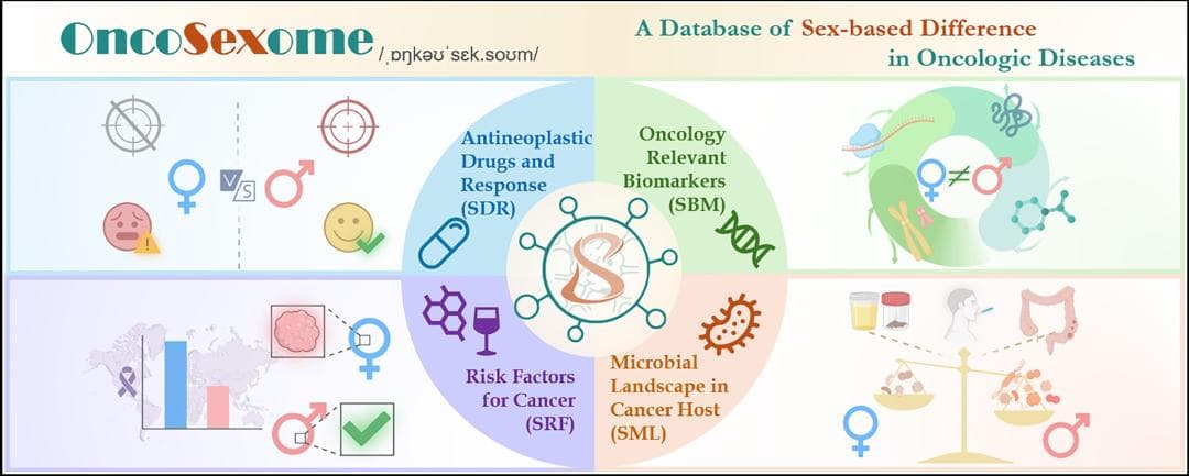 OncoSexome：首个全面解析癌症性别差异的多维知识库