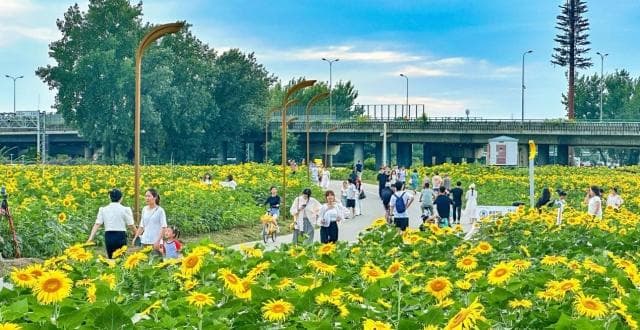 成都环城绿道：市民休闲运动首选地