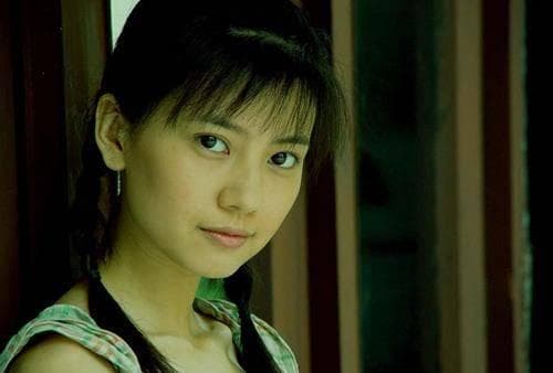 2005年《青红》：高圆圆凭此片摘掉“花瓶”标签，首获戛纳提名