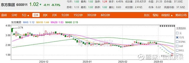 大华所危矣！被罚千万后又陷东方集团造假案