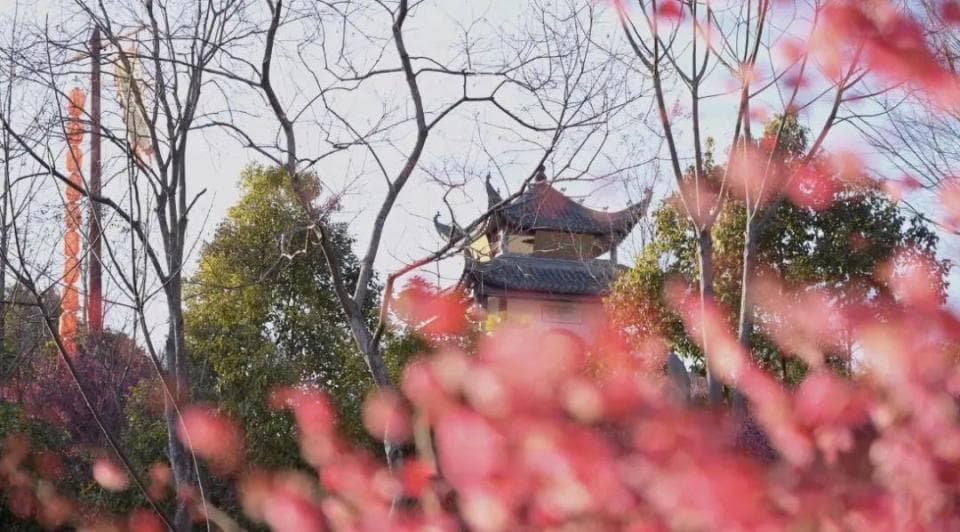 绩溪春日赏花指南， 赴一场花漾之约